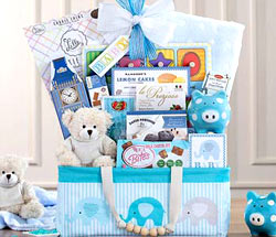 Baby Gift Baskets