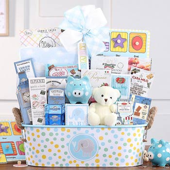 Deluxe Baby Boy Gift Basket