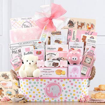 Deluxe Baby Girl Gift Basket