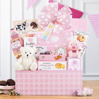 Baby Girl Gourmet Basket