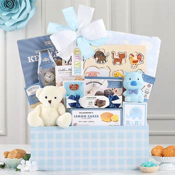 Baby Boy Gourmet Basket