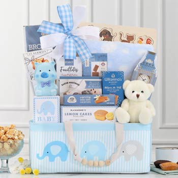 Baby Boy Animal Friends Basket