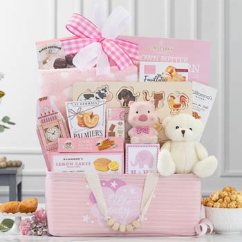 Baby Girl Animal Friends Basket