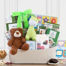 Newborn Basket