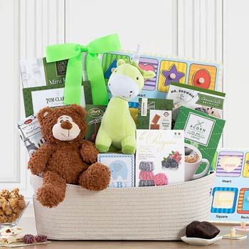 Newborn Basket