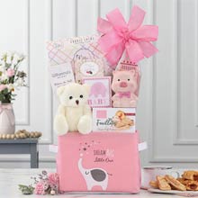 Baby Girl Gift Basket