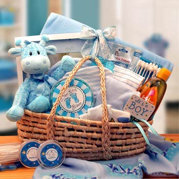 Baby Boy Moses Gift Basket