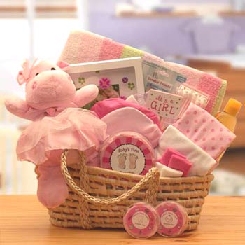 Baby Girl Moses Gift Basket