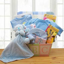 Just for Baby Boy Gift Basket