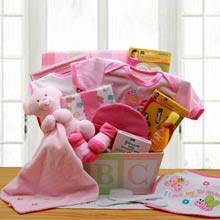 Just for Baby Girl Gift Basket