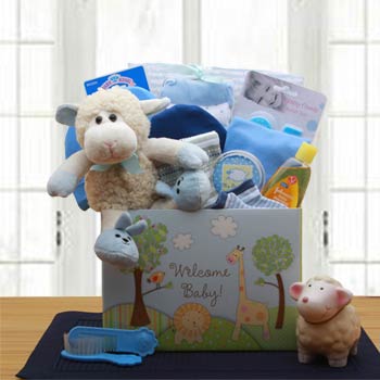 Baby Boy Lamb Gift Basket