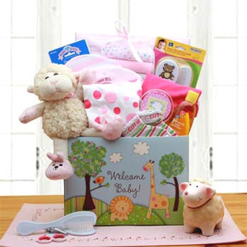 Baby Girl Lamb Gift Basket