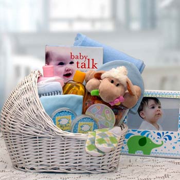 Baby Boy Bassinet Gift Basket