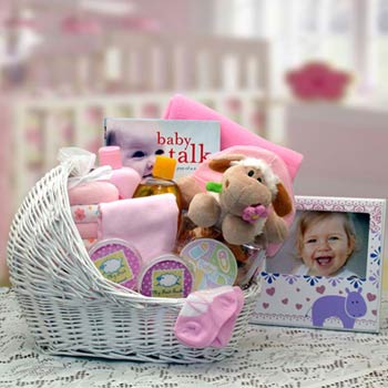 Baby Girl Bassinet Gift Basket