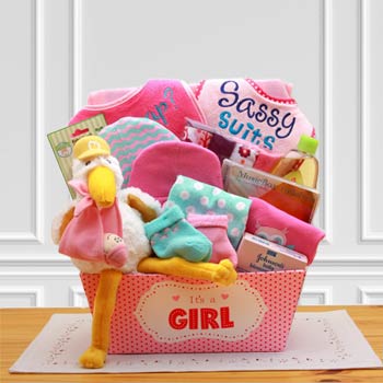 Baby Girl Stork Gift Basket