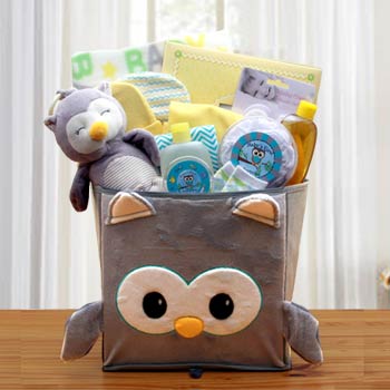 Baby Owl Gift Basket