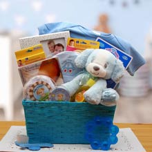 Baby Boy Puppy Basket