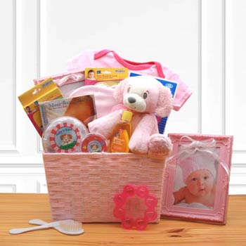 Baby Girl Puppy Basket