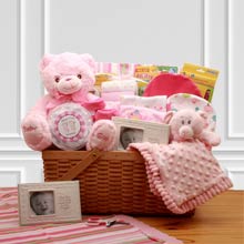Baby Girl Teddy Bear Basket