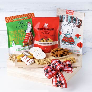 Dog Christmas Gift Basket