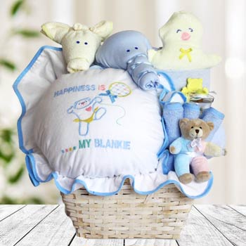 New Baby Gift Basket