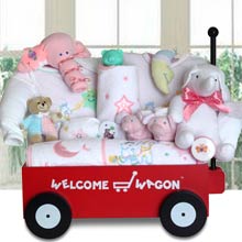 Baby Girl Welcome Wagon