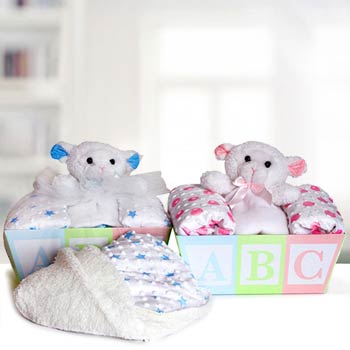 Baby Gift Set