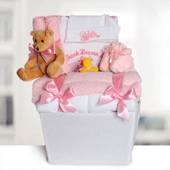 Baby Girl Layette Basket