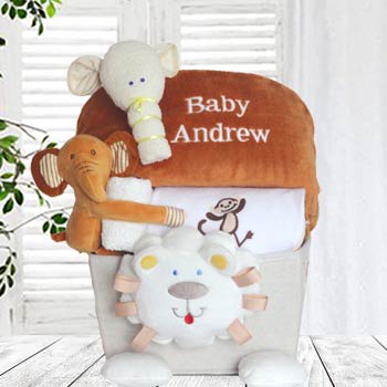 Safari Basket for Baby
