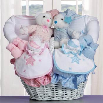 Sleepy Twins Baby Basket