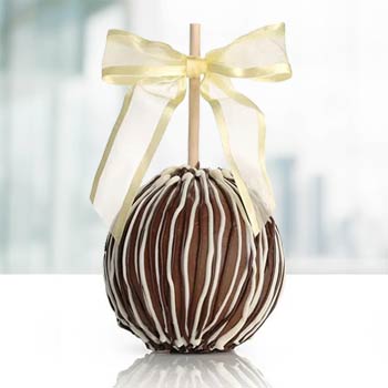 Gourmet Chocolate Caramel Candy Apple