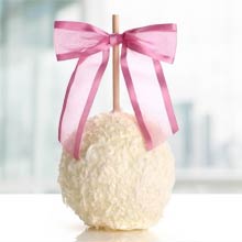 Chocolate & Coconut Gourmet Candy Apple