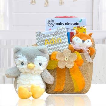 Reading Fun Owl Gift Basket