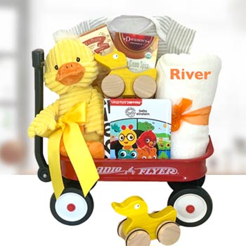 Just for Baby Gift Basket