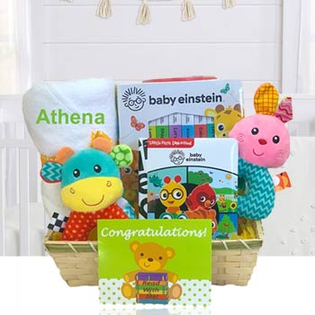 Baby Einstein Deluxe Book Gift Basket