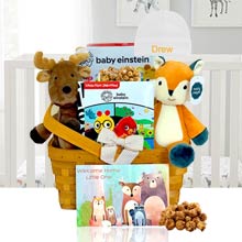 Baby Einstein Newborn Basket for Him