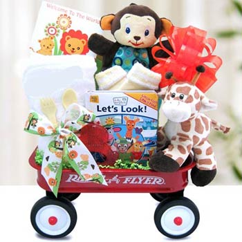 Baby Einstein Safari Fun Gift Set