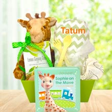 Personalized Gift Basket for Baby