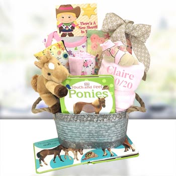Cowgirl Basket for Baby