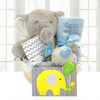 Baby Boy Elephant Gift