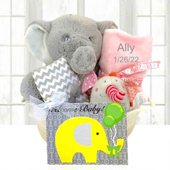 Baby Girl Elephant Gift