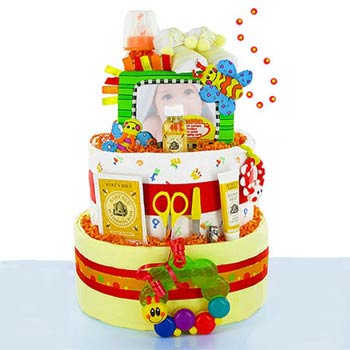 Baby Einstein Diaper Cake