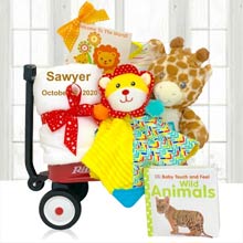 Just for Baby Gift Basket