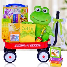 Baby Einstein Language Learning Gift