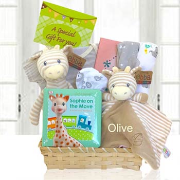 Personalized Safari Basket for Baby