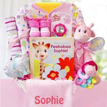 Personalized Baby Girl Safari Basket