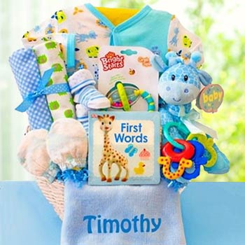 Personalized Baby Boy Safari Basket