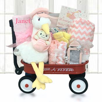 Baby Girl Stork Radio Flyer Wagon