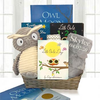 Reading Fun Owl Gift Basket