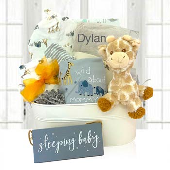 Baby Neutral Jungle Gift Basket